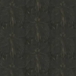  Roberto Cavalli Roberto Cavalli 8 RC19006
