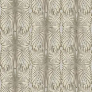  Roberto Cavalli Roberto Cavalli 8 RC19008 -  1