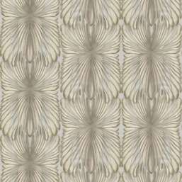  Roberto Cavalli Roberto Cavalli 8 RC19008