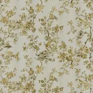  Roberto Cavalli Roberto Cavalli 8 RC19044 -  1