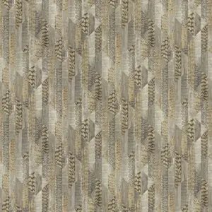  Roberto Cavalli Roberto Cavalli 8 RC19065 -  1