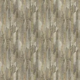  Roberto Cavalli Roberto Cavalli 8 RC19065