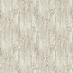  Roberto Cavalli Roberto Cavalli 8 RC19069