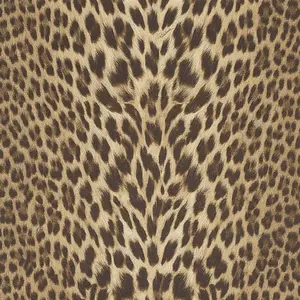  Roberto Cavalli Roberto Cavalli 9 RC21041 -  1