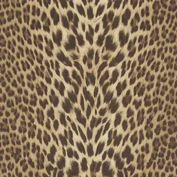  Roberto Cavalli Roberto Cavalli 9 RC21041