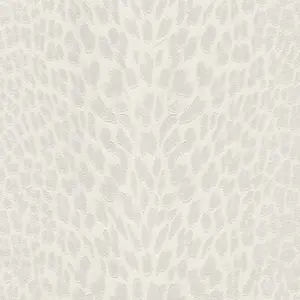  Roberto Cavalli Roberto Cavalli 9 RC21042 -  1