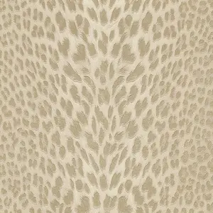  Roberto Cavalli Roberto Cavalli 9 RC21043 -  1