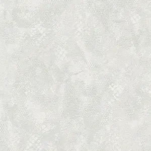  Roberto Cavalli Roberto Cavalli 9 RC21059 -  1