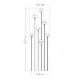  Rodecor   -  3 66416AR