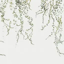  Sandberg Arboretum 640-04