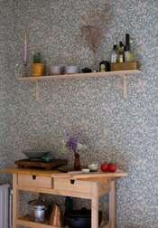 ���� Sandberg Tradgarden S10570 - ���� 21