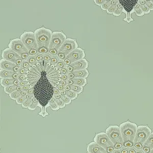  Sanderson Caspian 216759 -  1