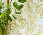 ���� Sanderson Country Woodland 217427 - ���� 7