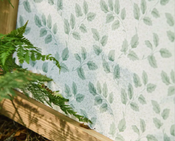 ���� Sanderson Country Woodland 217427 - ���� 5