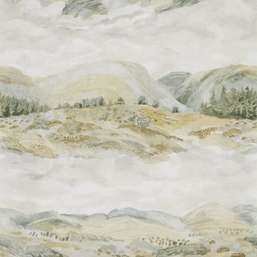  Sanderson Elysian DYSI216593