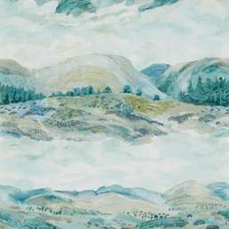  Sanderson Elysian DYSI216594