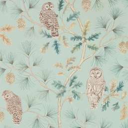  Sanderson Elysian DYSI216596