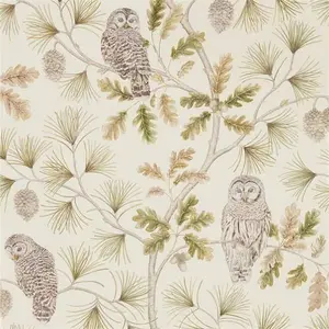  Sanderson Elysian DYSI216597 -  1