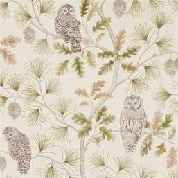 Sanderson Elysian DYSI216597