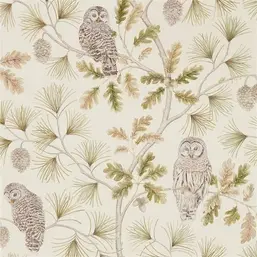  Sanderson Elysian DYSI216597