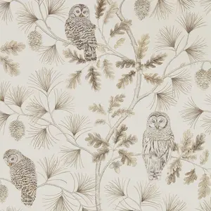  Sanderson Elysian DYSI216598 -  1