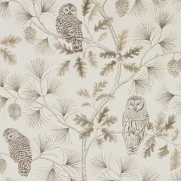  Sanderson Elysian DYSI216598