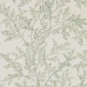  Sanderson Elysian DYSI216614 -  1