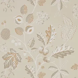  Sanderson Elysian DYSI216616 -  1