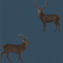  Sanderson Elysian DYSI216620