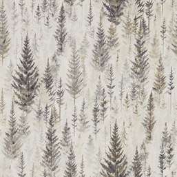  Sanderson Elysian DYSI216621