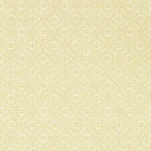Обои Sanderson Littlemore 216907 - фото 1