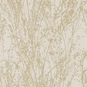  Sanderson Woodland Walk 215697 -  1