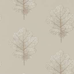  Sanderson Woodland Walk 215698