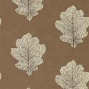  Sanderson Woodland Walk 215701 -  1