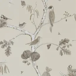  Sanderson Woodland Walk 215704