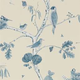  Sanderson Woodland Walk 215705