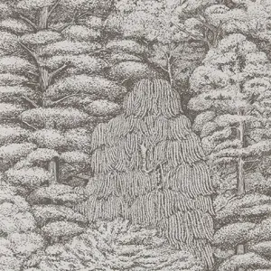  Sanderson Woodland Walk 215716 -  1