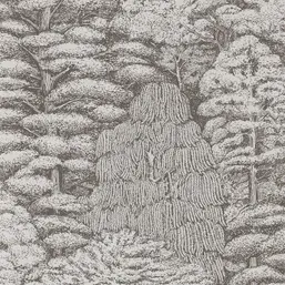  Sanderson Woodland Walk 215716