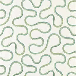 ���� Scion Oakham 113248