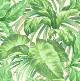  Seabrook Ainsley AE30204
