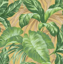  Seabrook Ainsley AE30205