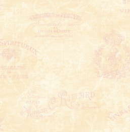  Seabrook Damask Folio DF30111