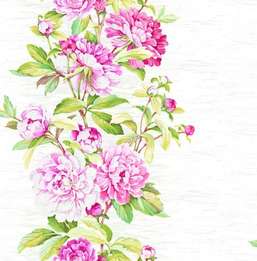  Seabrook Garden Rose RG60001