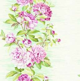 Seabrook Garden Rose RG60002