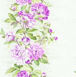  Seabrook Garden Rose RG60009