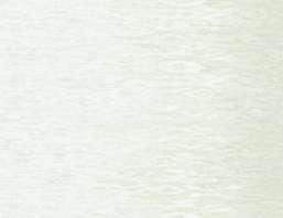  Seabrook Garden Rose RG60201