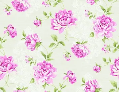  Seabrook Garden Rose RG60501 -  1