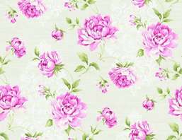  Seabrook Garden Rose RG60501