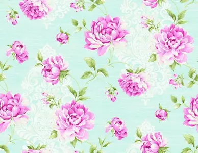  Seabrook Garden Rose RG60502 -  1