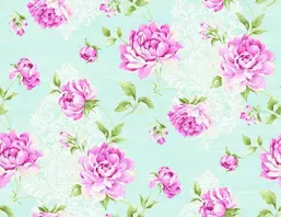  Seabrook Garden Rose RG60502